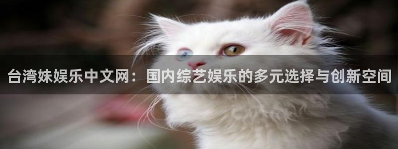 彩神vii官方：台湾妹娱乐中文网：国内综艺娱乐的多元选择与创新空间