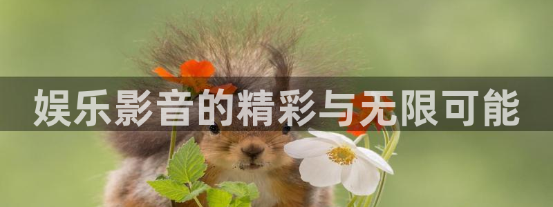 彩神vii官方：娱乐影音的精彩与无限可能