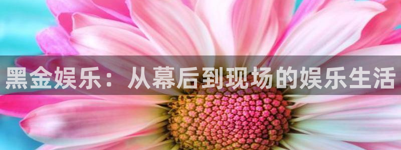 彩神vii官方：黑金娱乐：从幕后到现场的娱乐生活
