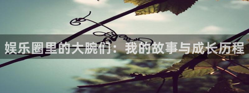 彩神vii官方：娱乐圈里的大腕们：我的故事与成长历程
