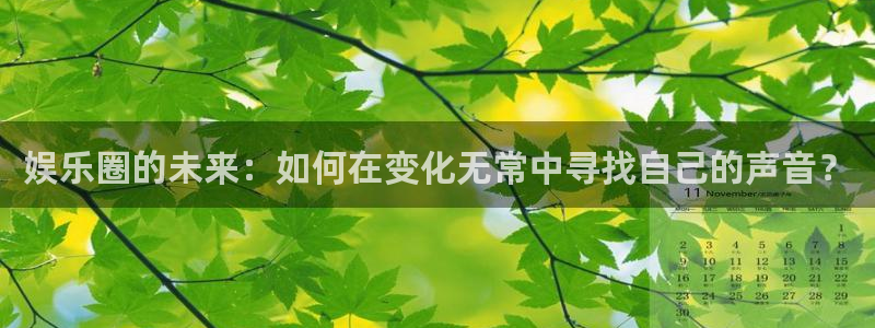 彩神vii官方：娱乐圈的未来：如何在变化无常中寻找自己的声音？