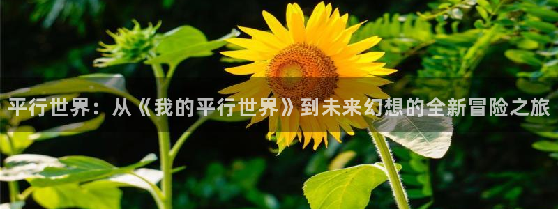 彩神vii官方：平行世界：从《我的平行世界》到未来幻想的全新冒险之旅