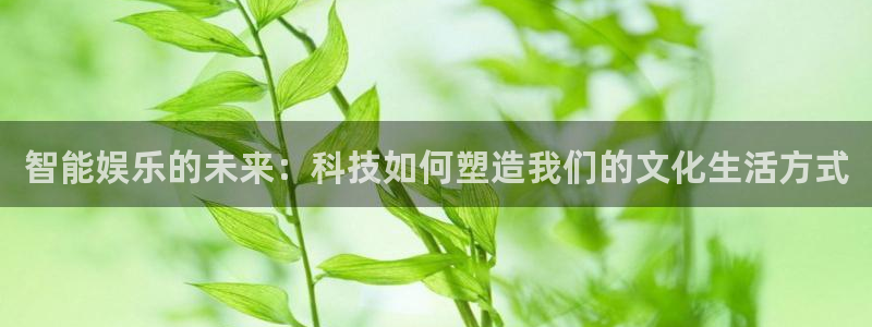 彩神vii官方：智能娱乐的未来：科技如何塑造我们的文化生活方式