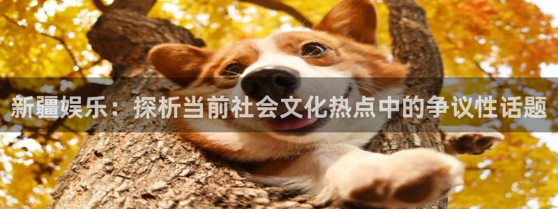 彩神vii官方：新疆娱乐：探析当前社会文化热点中的争议性话题
