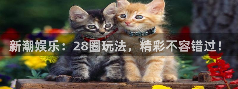 彩神vii官方：新潮娱乐：28圈玩法，精彩不容错过！