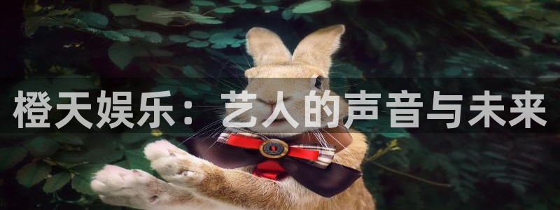 彩神vii官方：橙天娱乐：艺人的声音与未来