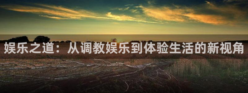 彩神vii官方：娱乐之道：从调教娱乐到体验生活的新视角