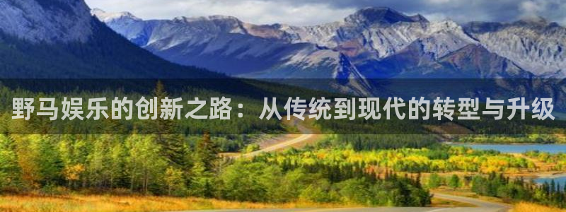 彩神vii官方：野马娱乐的创新之路：从传统到现代的转型与升级